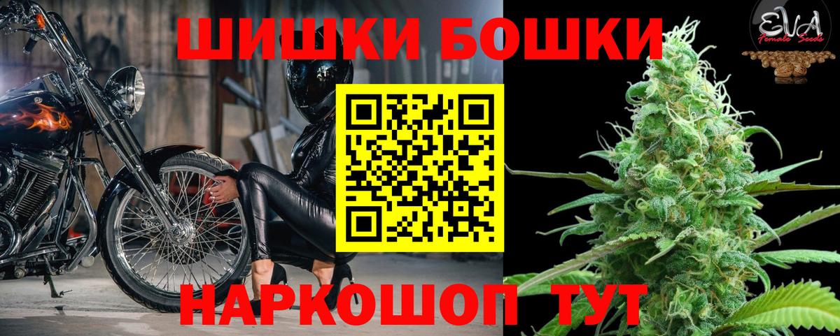 Каннабис планчик Соль-Илецк
